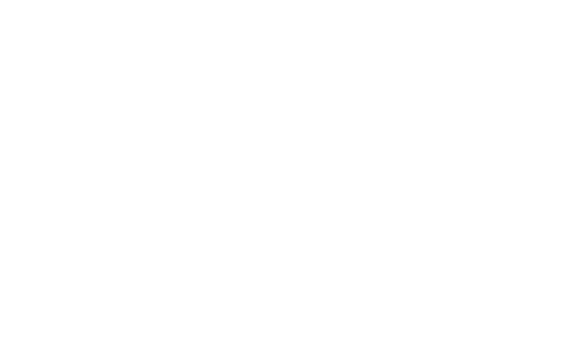 dw logo white